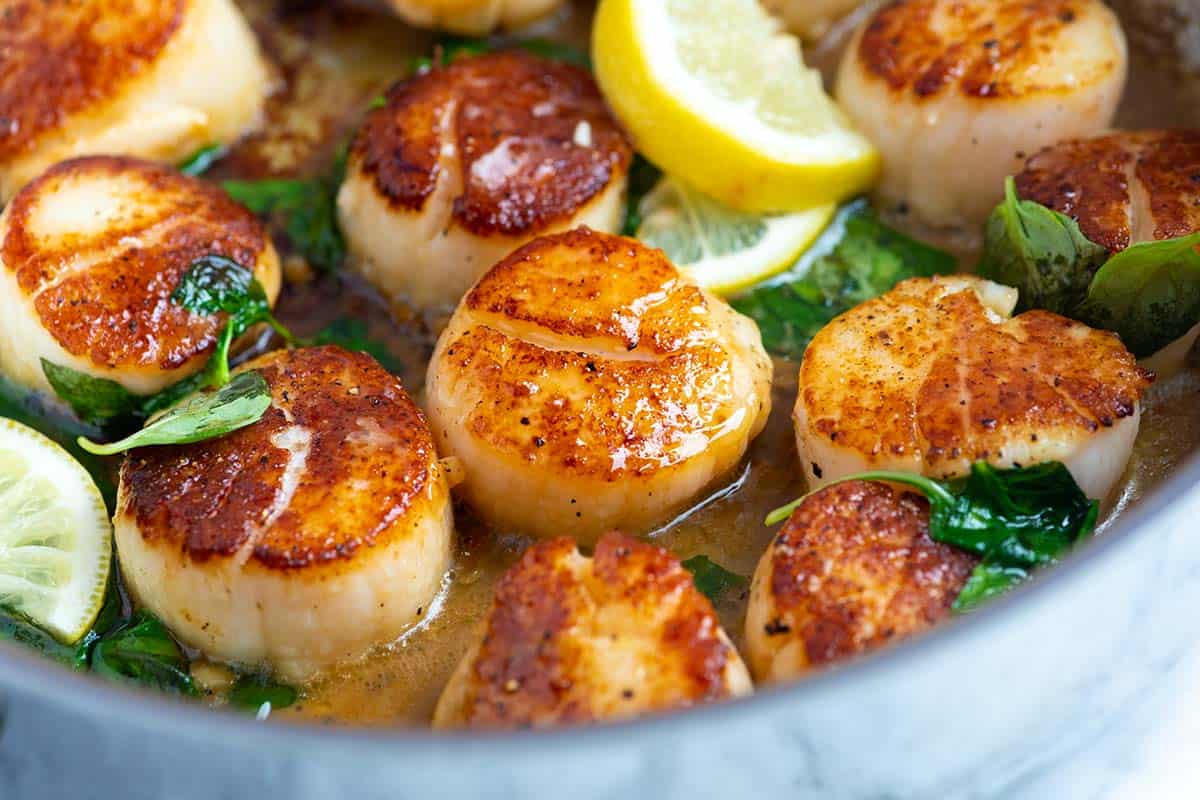 Scallops A Delicate and Flavorful Seafood