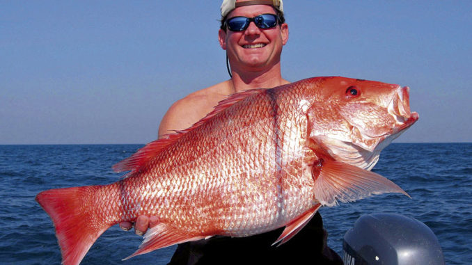 Snapper A Versatile and Delicious Seafood Option