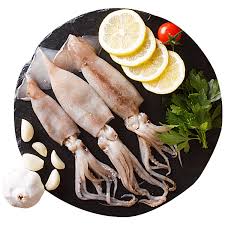 Squid A Versatile and Flavorful Seafood